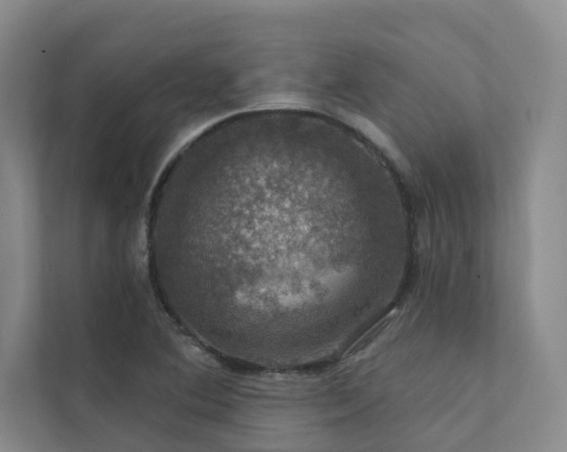 X0000111581364200907161416