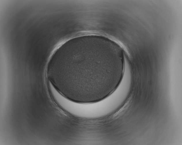 X0000111581365200907161416