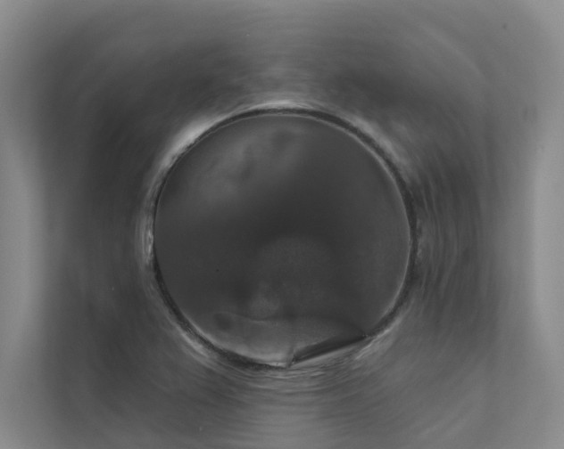 X0000111581367200907161416