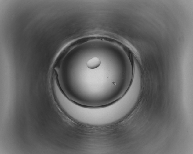 X0000111581368200907161416