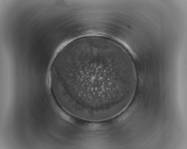 X0000111581371200907161416