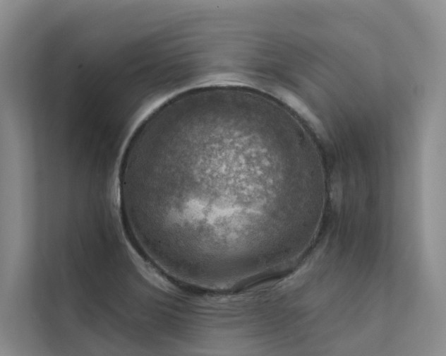 X0000111581372200907161416