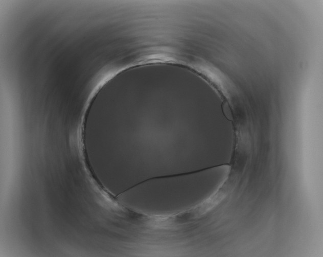 X0000111581373200907161416