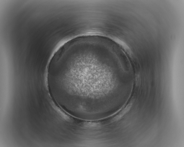 X0000111581374200907161416