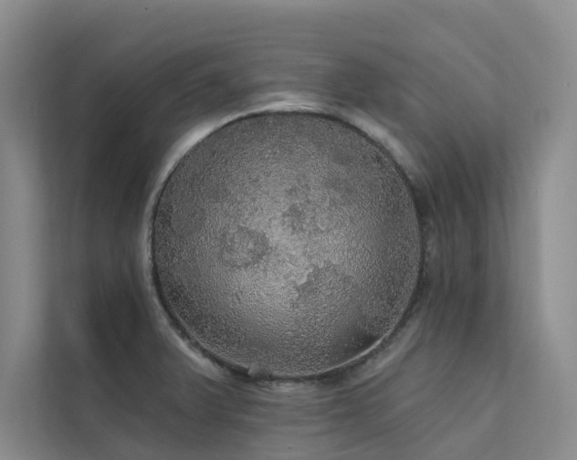 X0000111581375200907161416