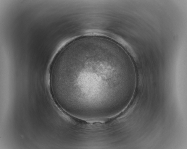 X0000111581376200907161416