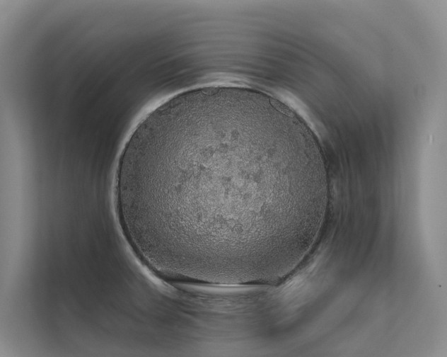 X0000111581379200907161416