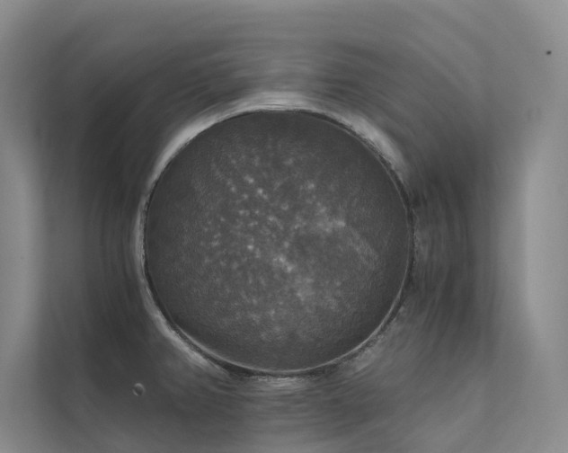 X0000111581382200907161416