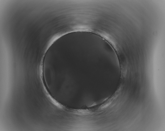 X0000111581383200907161416