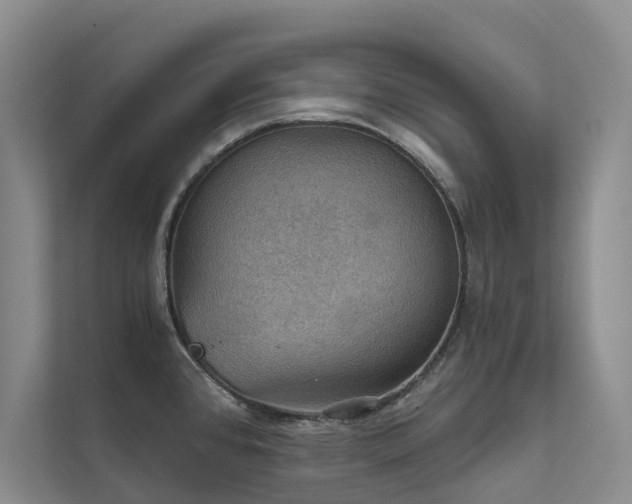 X0000111581384200907161416