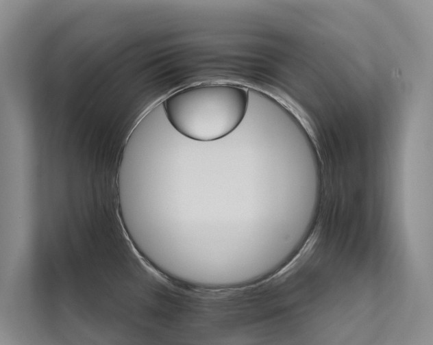X0000111581385200907161416