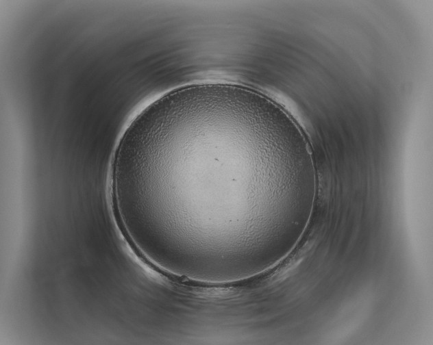 X0000111581387200907161416