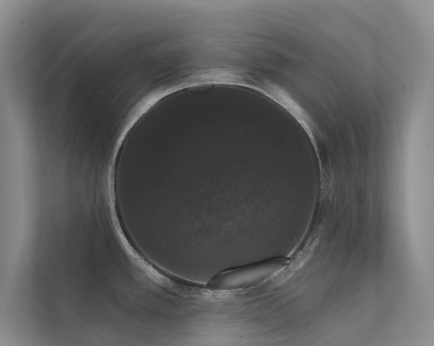 X0000111581389200907161416