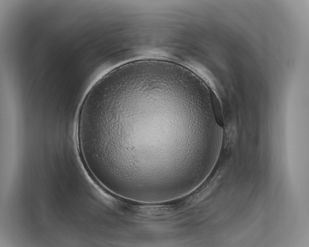 X0000111581391200907161416