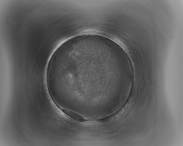 X0000111581392200907161416