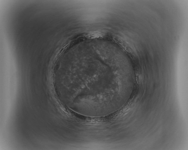 X0000111581393200907161415