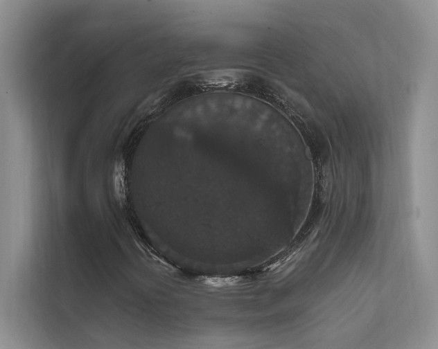 X0000111581394200907161415