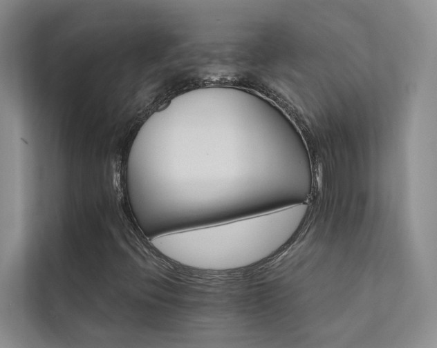 X0000111581396200907161415