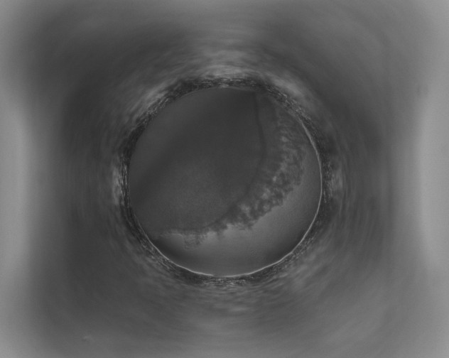 X0000111581397200907161415