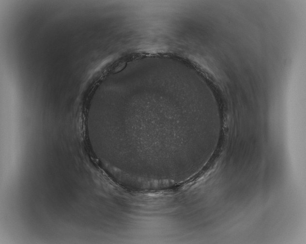 X0000111581398200907161415