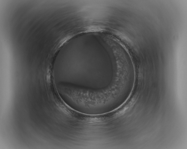 X0000111581401200907161415