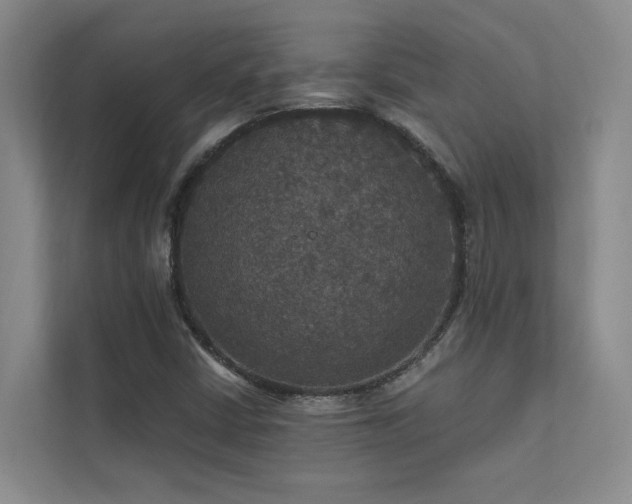 X0000111581402200907161415