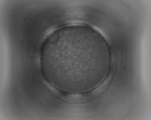 X0000111581403200907161415