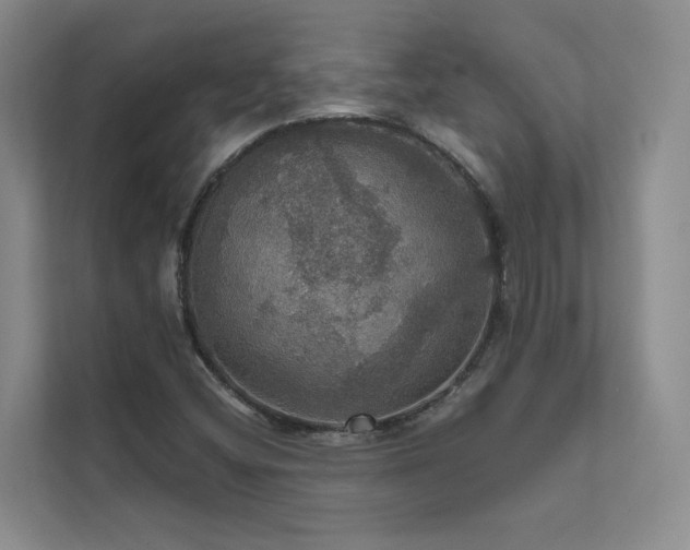 X0000111581404200907161415