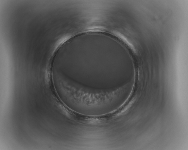 X0000111581405200907161415