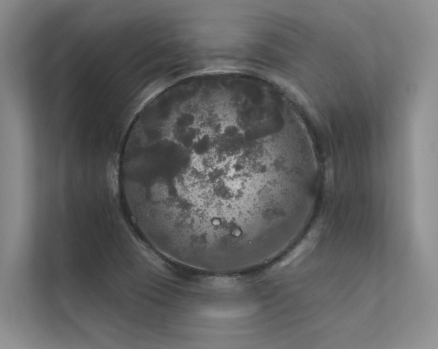 X0000111581409200907161415