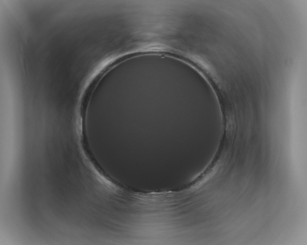 X0000111581414200907161416