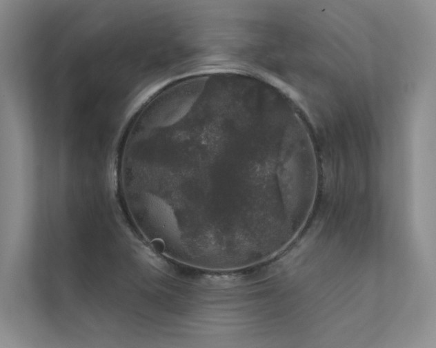 X0000111581415200907161416