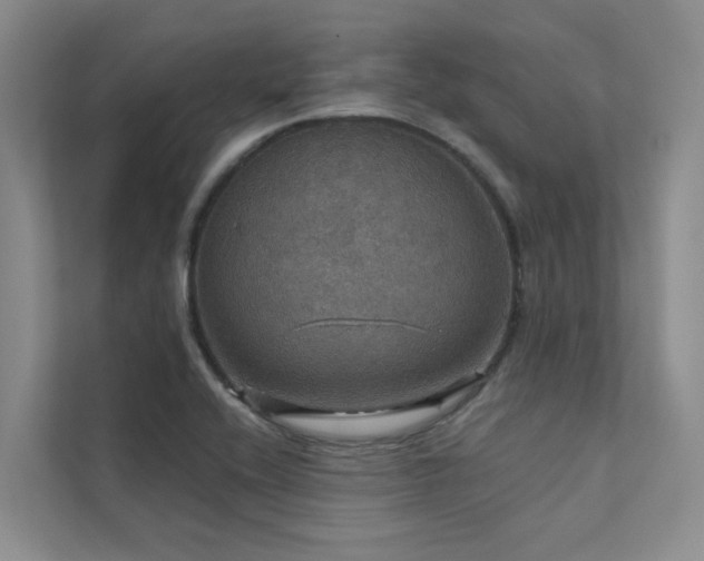 X0000111581416200907161416
