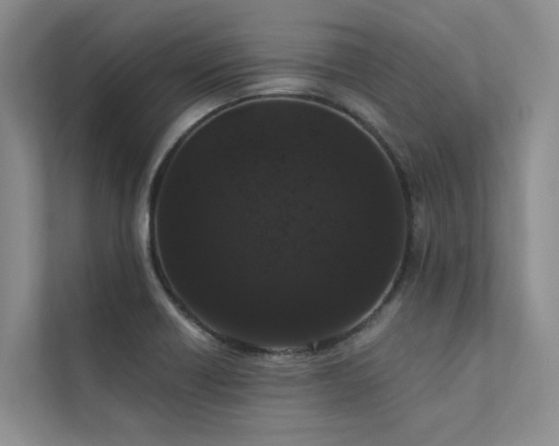 X0000111581418200907161416