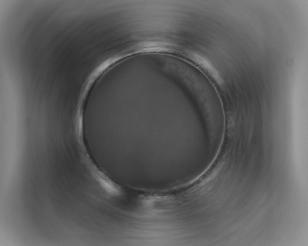 X0000111581419200907161416