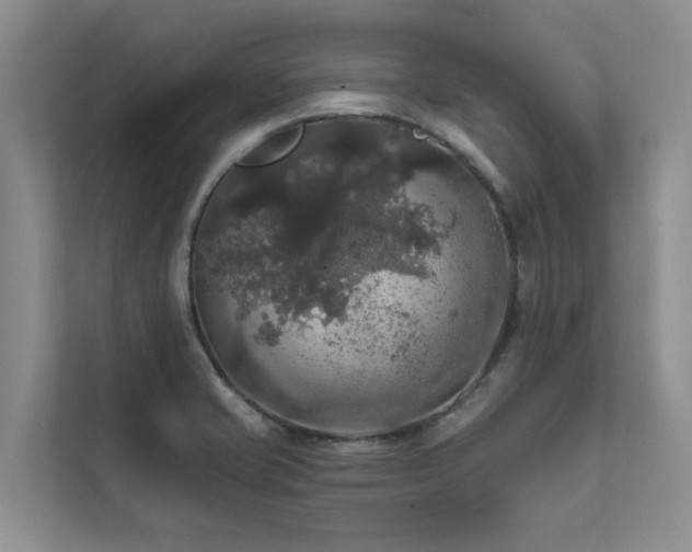 X0000111581421200907161416
