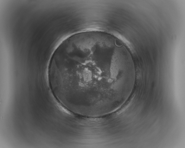 X0000111581423200907161416