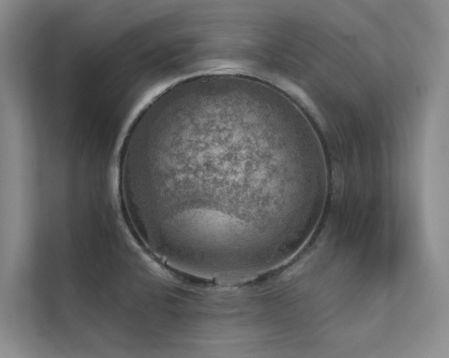 X0000111581424200907161416