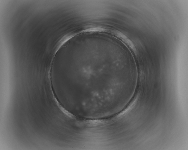 X0000111581425200907161416