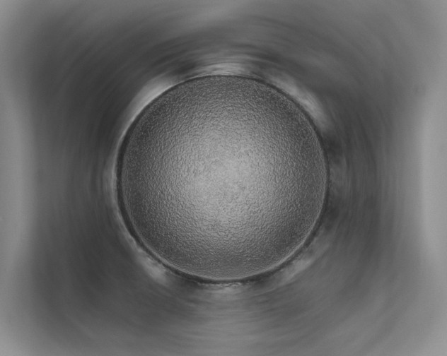 X0000111581426200907161416