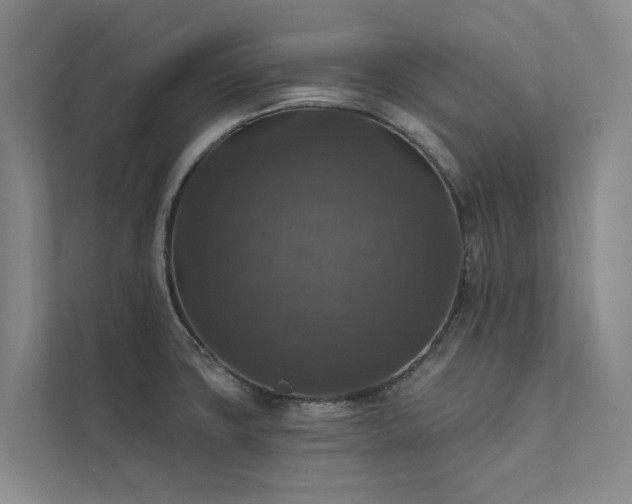 X0000111581427200907161416