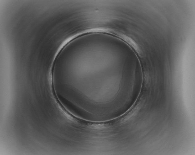 X0000111581428200907161416