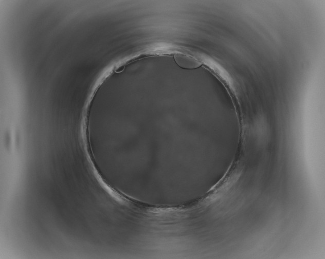 X0000111581429200907161416