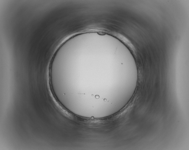 X0000111581431200907161416