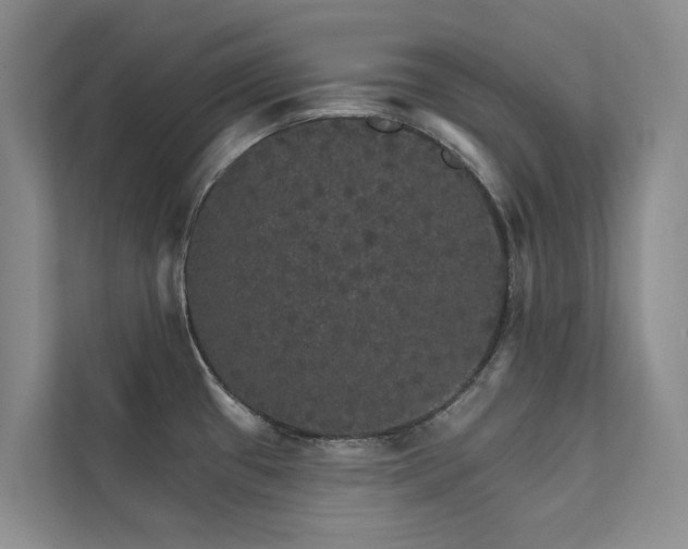 X0000111581433200907161416