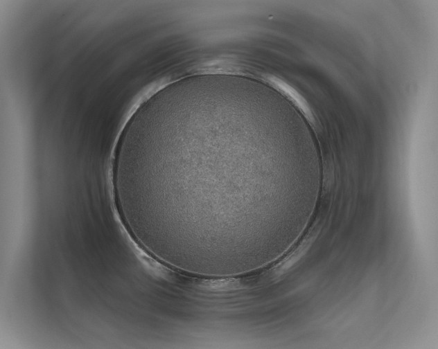 X0000111581434200907161416