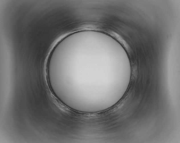 X0000111581435200907161416