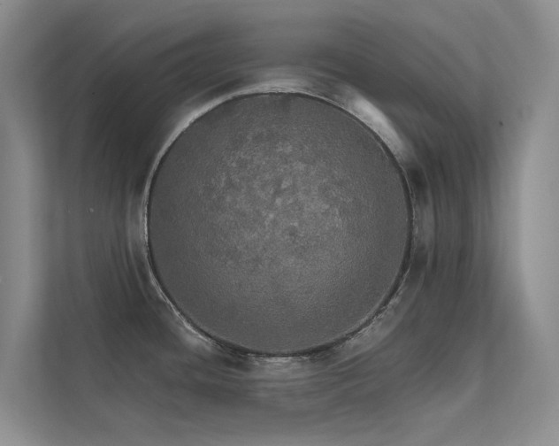 X0000111581436200907161416
