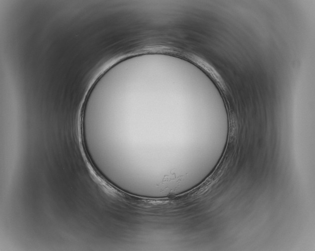 X0000111581439200907161416