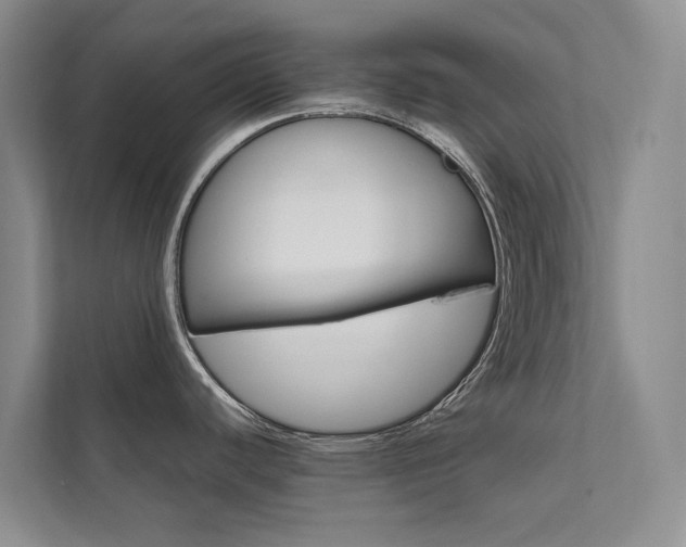 X0000111581440200907161416